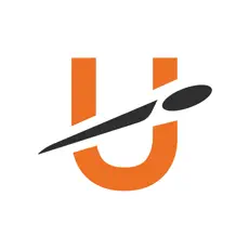 Udisc Logo
